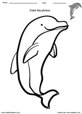 Color a Dolphine