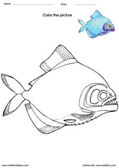 Color a Fish