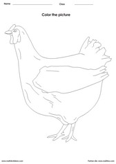 Color a Hen