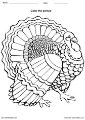Color a Turkey