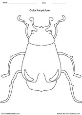Color a Beetle
