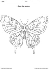 Color a Butterfly 