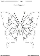 Color a Butterfly