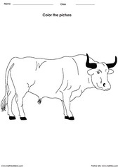 Color a Bull