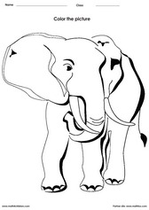 Color a Elephant
