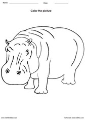 Color a Hippo